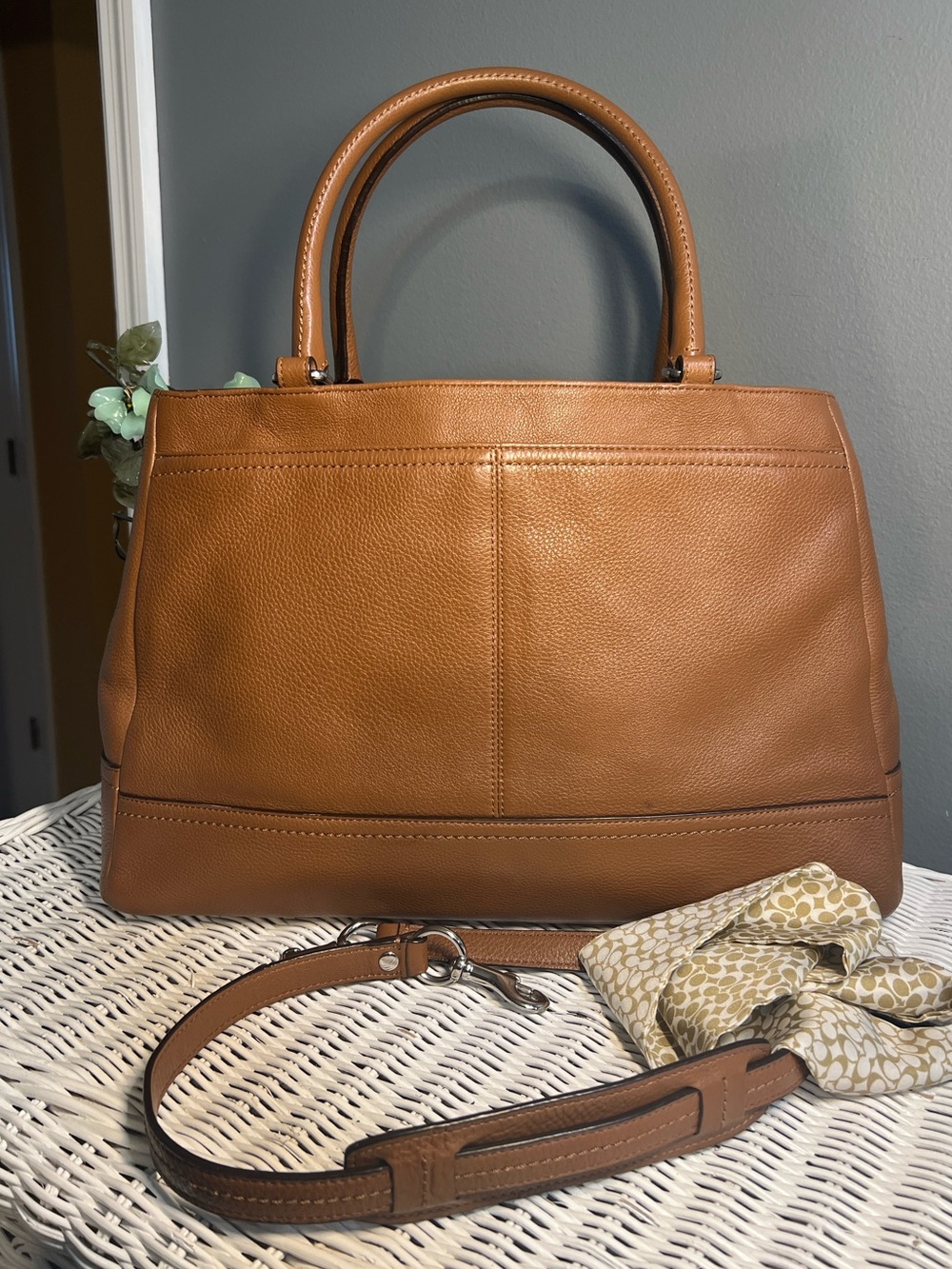 Coach Park Carryall Bag - Picture 3 of 16